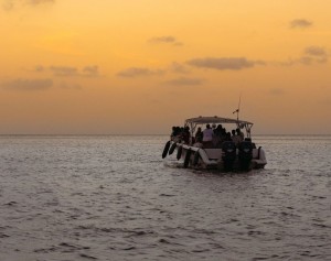 Tour Deluxe por la Bahía