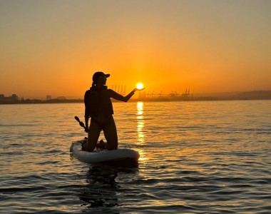 Paddle Board