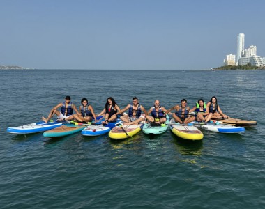 Paddle board