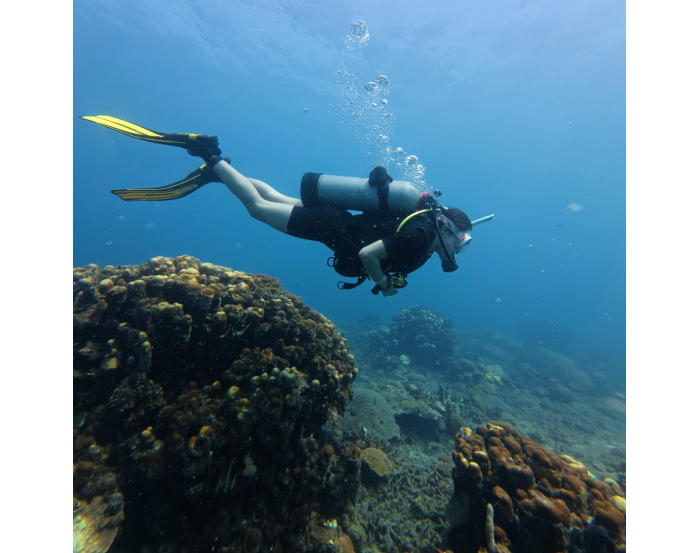 Mini Curso de Buceo